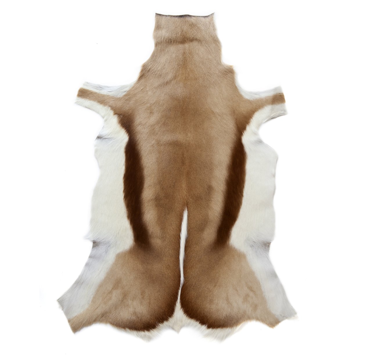 Peau de Springbok