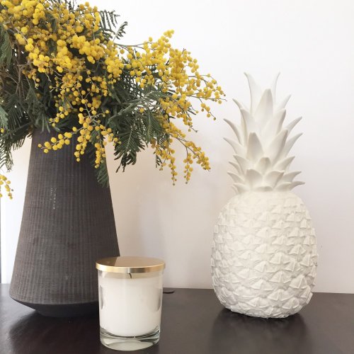 Lampe veilleuse Ananas - Blanc