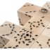 16 cubes Fourmis