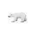 Grand ours polaire - Aujourd\'hui c\'est mercredi