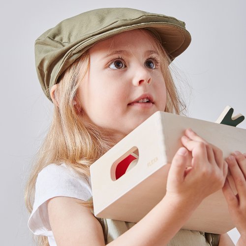 Cagette de fruits pour épicerie