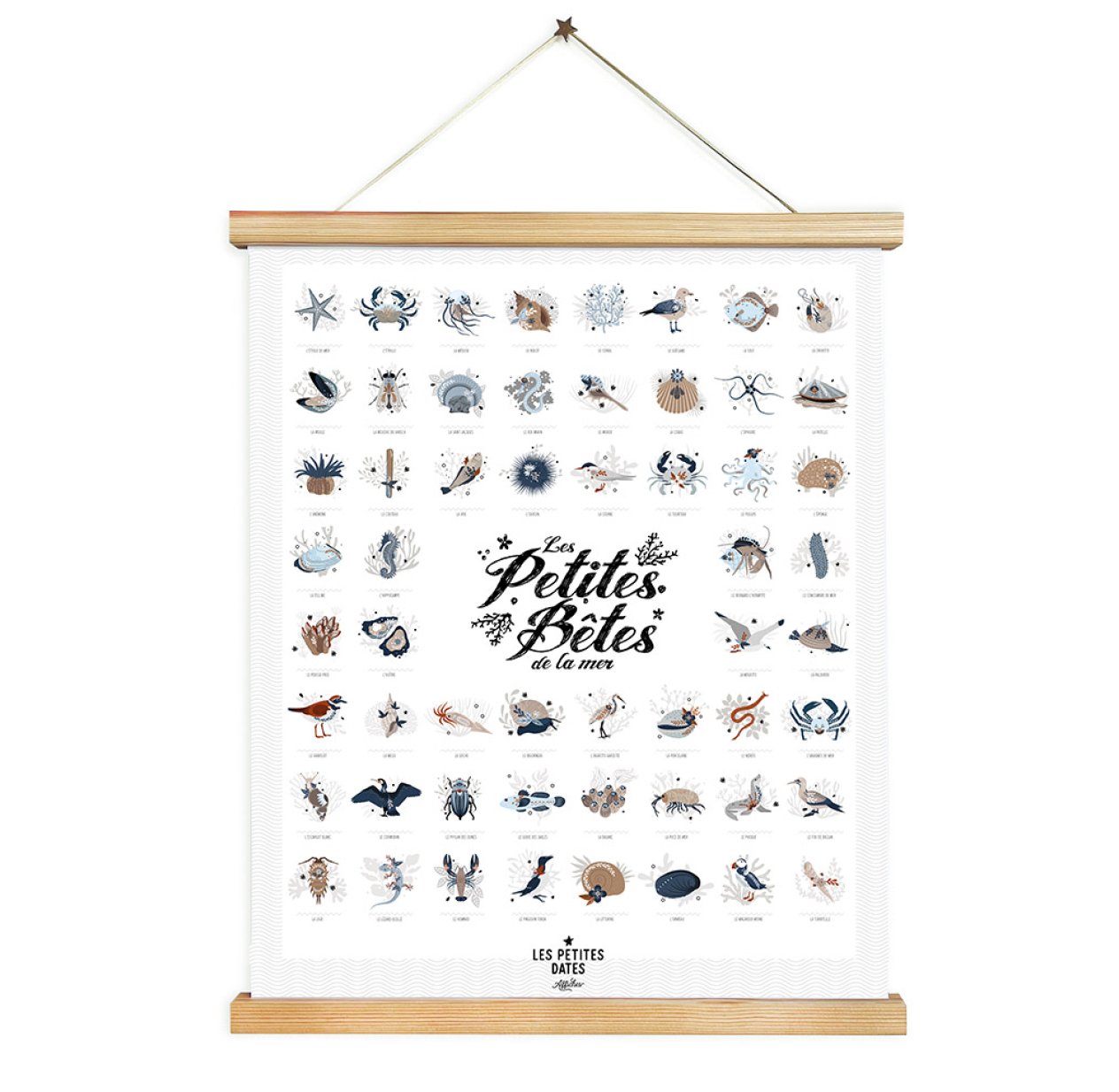 Affiche Les Petites Bêtes de la Mer