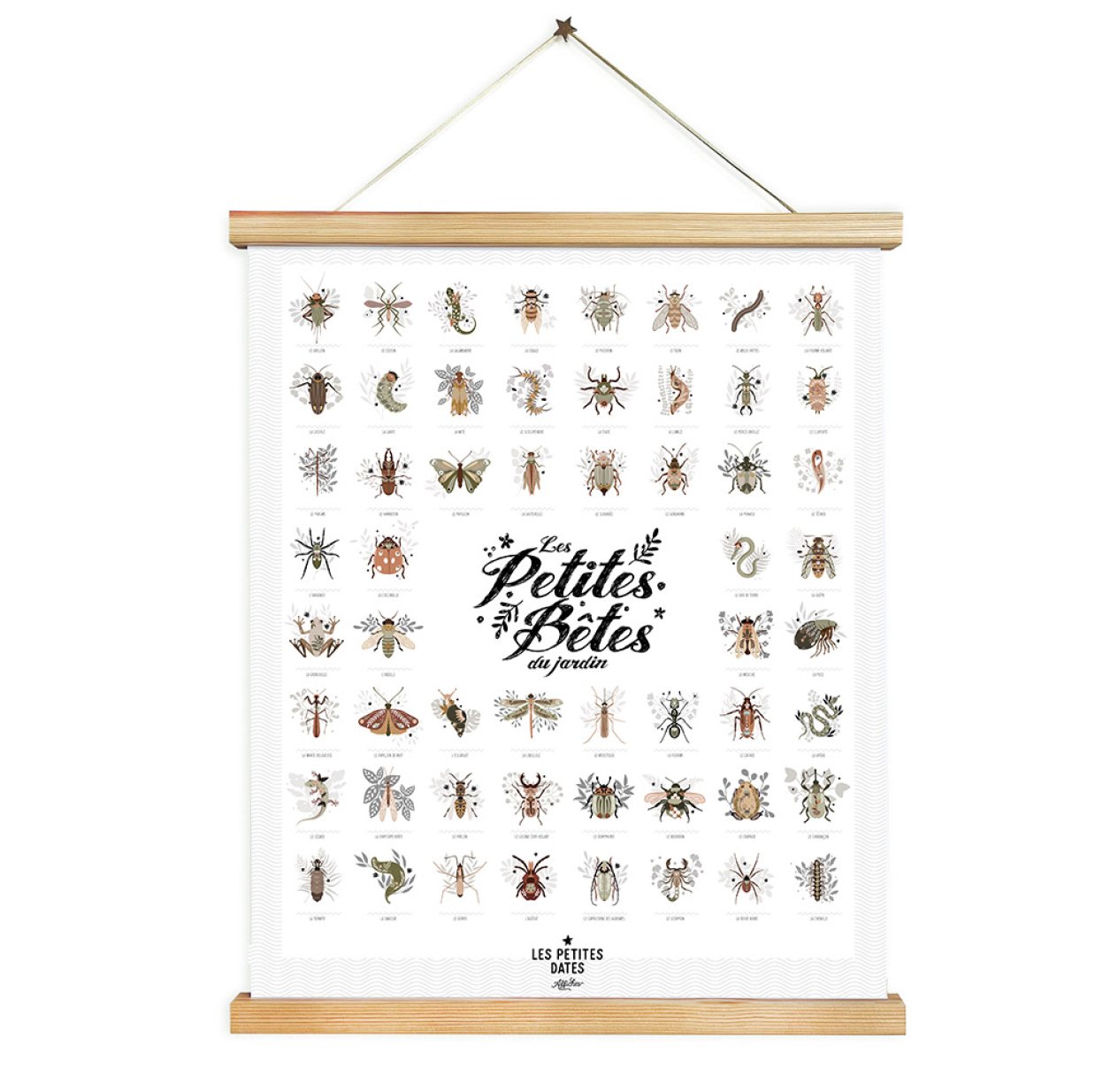 Affiche Les Petites Bêtes du Jardin