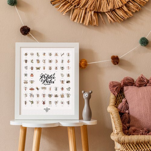 Affiche Les Petites Bêtes du Jardin