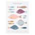 Affiche A2 Fish Print - Multicolore