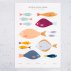 Affiche A2 Fish Print - Multicolore