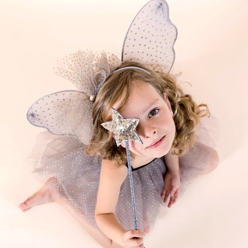 Ailes de Fée Coeur - Rose pâle 