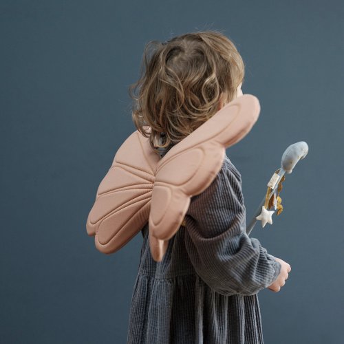 Ailes de fée Rainbow - Vieux rose