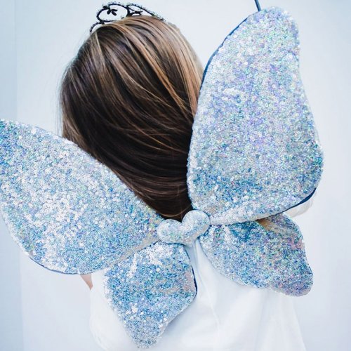 Ailes de Fée Sequins - Argent