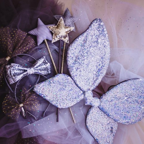 Ailes de Fée Sequins - Argent