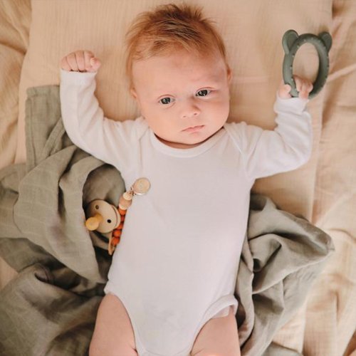 Anneaux de dentition Ours - Thym