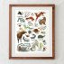 Affiche Alphabet Woodland - Multicolore