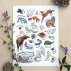 Affiche Alphabet Woodland - Multicolore
