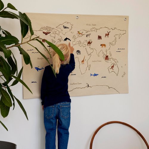 Poster Carte du Monde