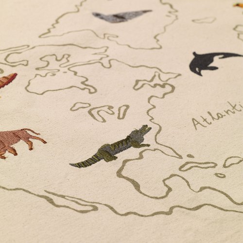 Poster Carte du Monde