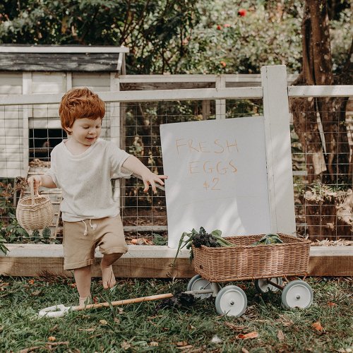 Chariot Wonder Wagon