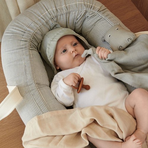 Couffin bébé Gro Babylift Stripe - Bleu