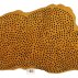 Coussin nuage Mustard velours - Moutarde