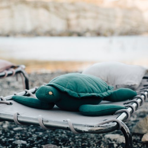 Coussin tortue Samy teal blue - Bleu canard