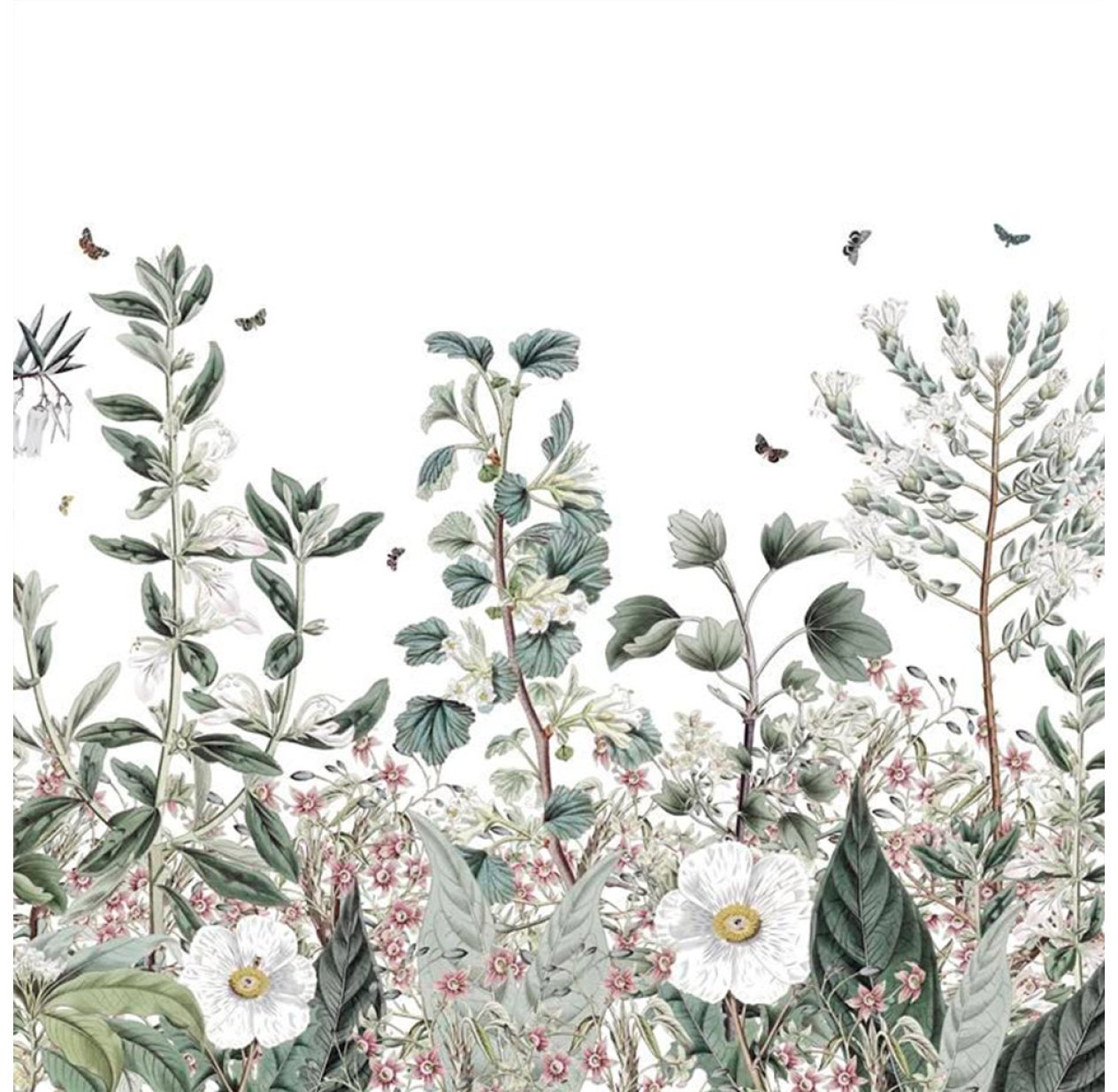 Papier peint Botanical Garden