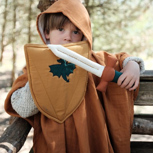 Bouclier et épée de Chevalier