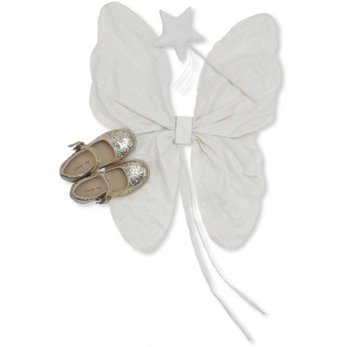 Déguisement de Fée