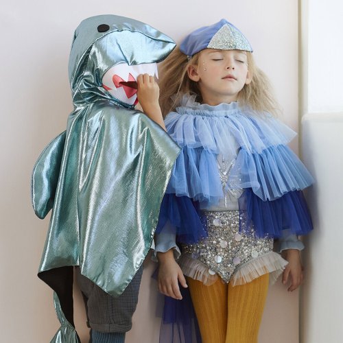 Déguisement Oiseau Bleu