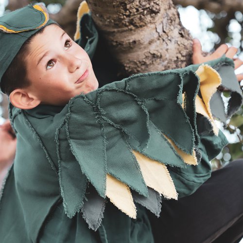 Déguisement Phoenix - Bleu Canard