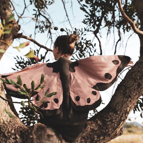 Déguisement Papillon Lucy - Vieux rose