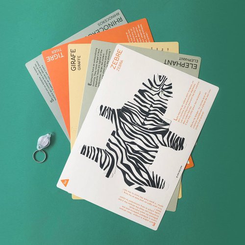 Animaux au Rayon-X - Kit DIY