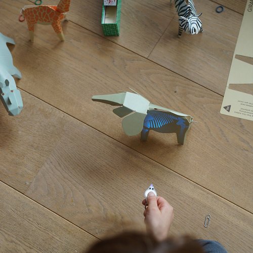 Animaux au Rayon-X - Kit DIY