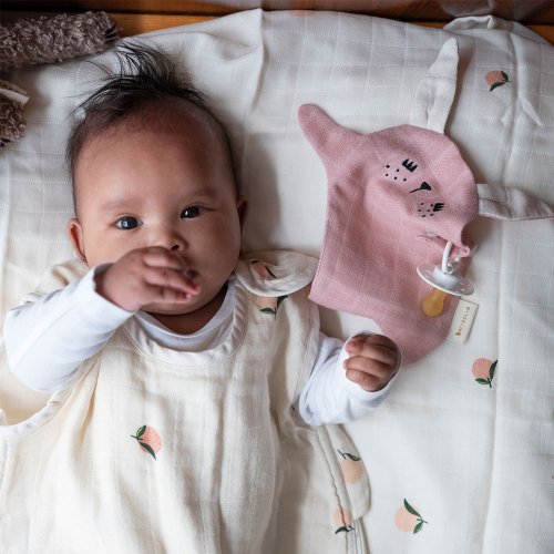 Doudou Attache-tétine Lapin