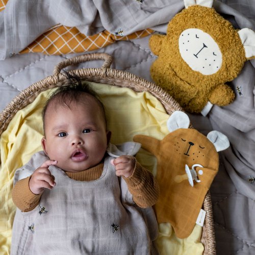 Doudou Attache-tétine Ours