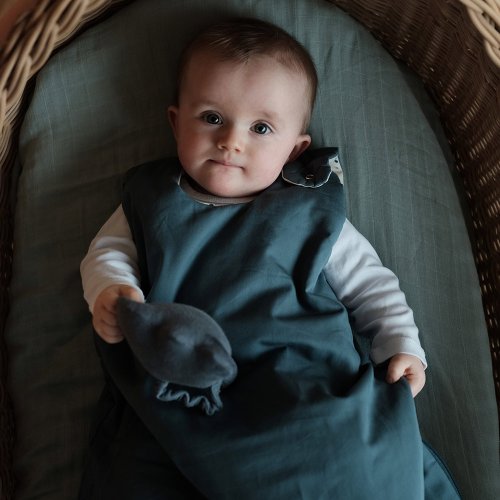 Gigoteuse réversible Océan