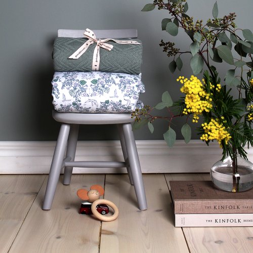 Couverture Ollie - Bleu sarcelle