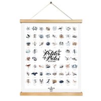 Affiche Les Petites Bêtes de la Mer