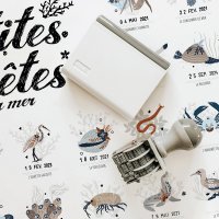 Affiche Les Petites Bêtes de la Mer