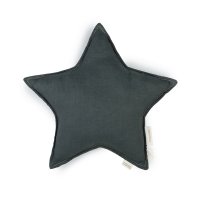 Coussin Etoile Lin Français - Green Blue