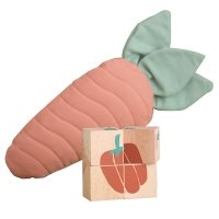 4 cubes en bois Légumes