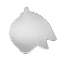 Miroir Citron