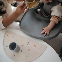 Set de Table en Silicone Dinosaures