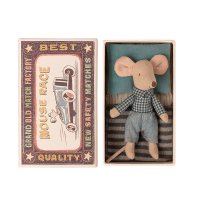 Souris Petit Frère dans sa boîte