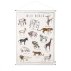 School Poster Kit à broder - Animaux sauvages