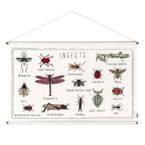 School Poster Kit à broder - Insectes