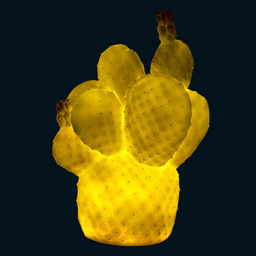 Lampe veilleuse Cactus - Blanc