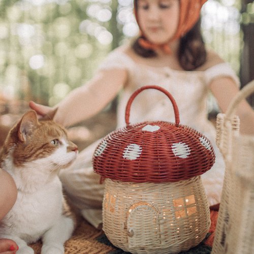 Panier Champignon - Rouge
