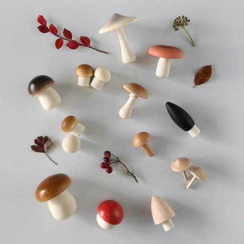 Panier de Champignons en bois