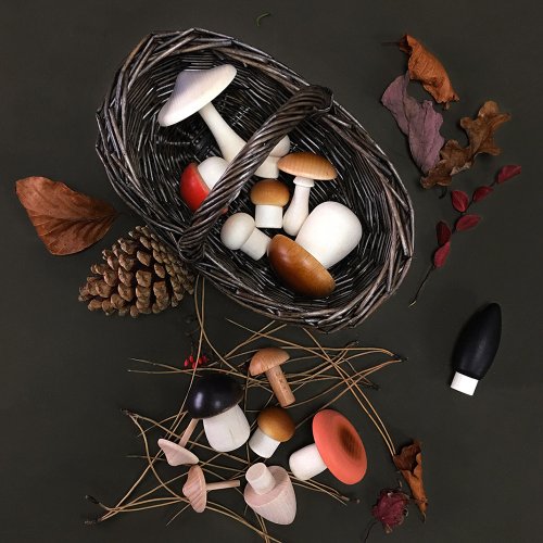 Panier de Champignons en bois