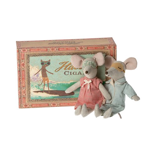 Souris Parents dans leur boîte