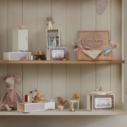 Souris Parents dans leur boîte